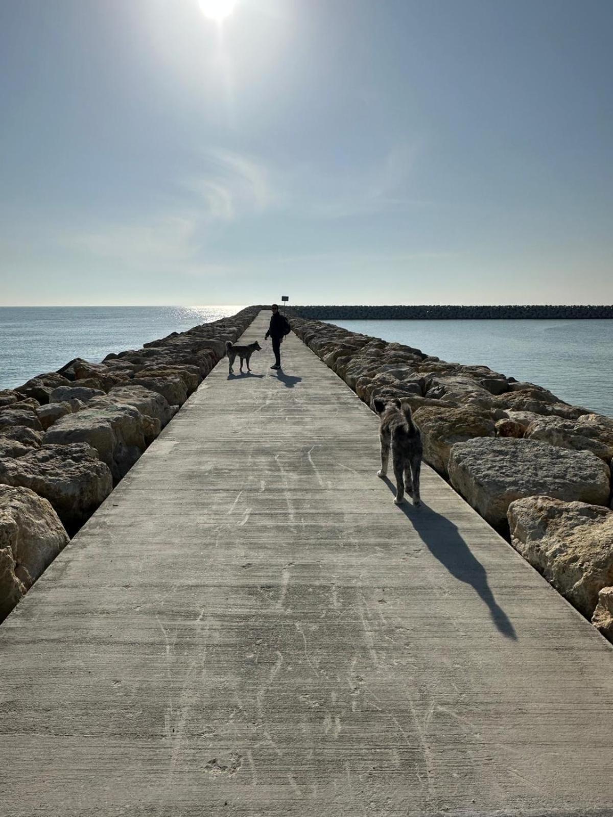 Aky&Suki Sea View Apartments Olimp Eksteriør bilde